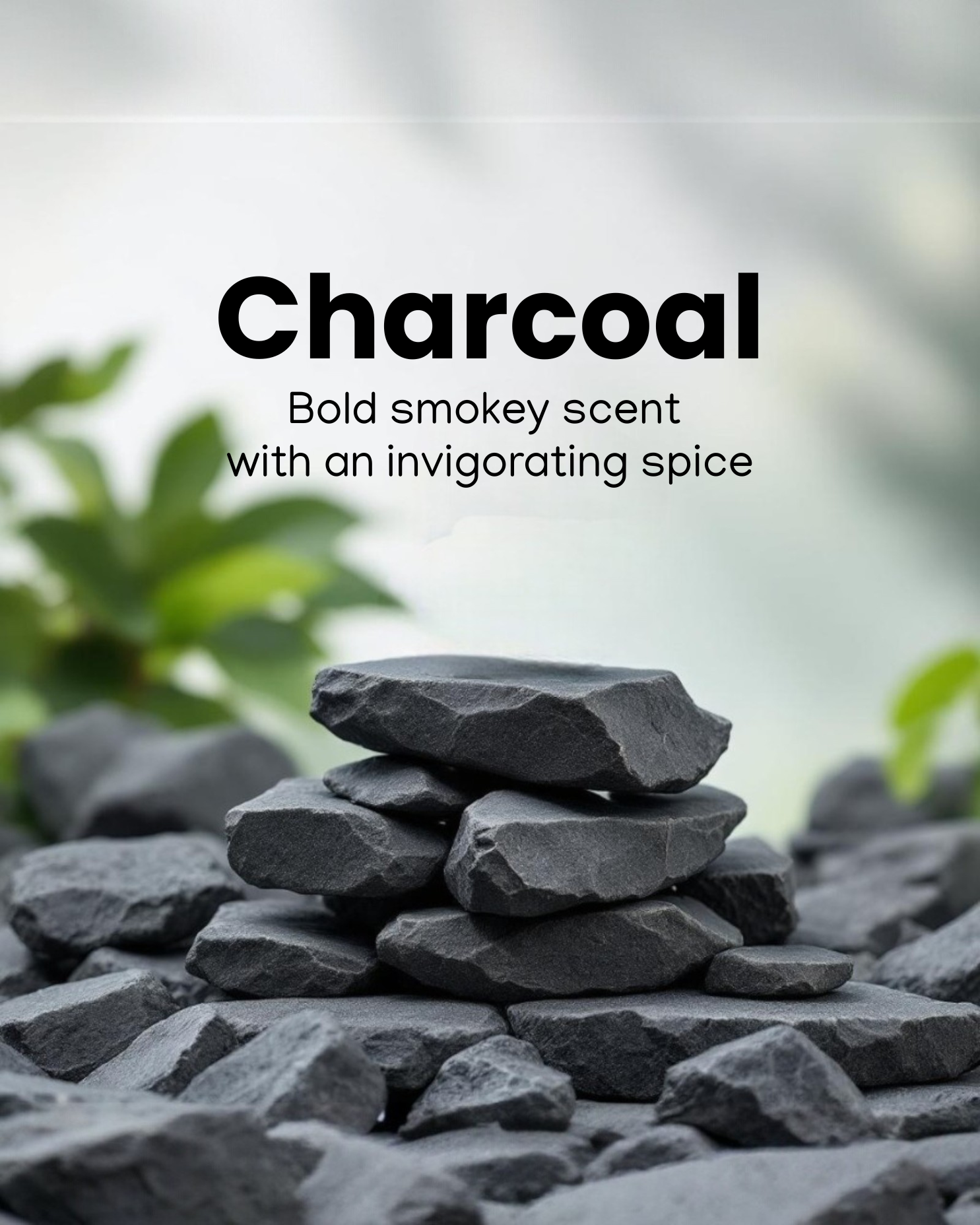 Charcoal Breeze Hair Face Body Wash