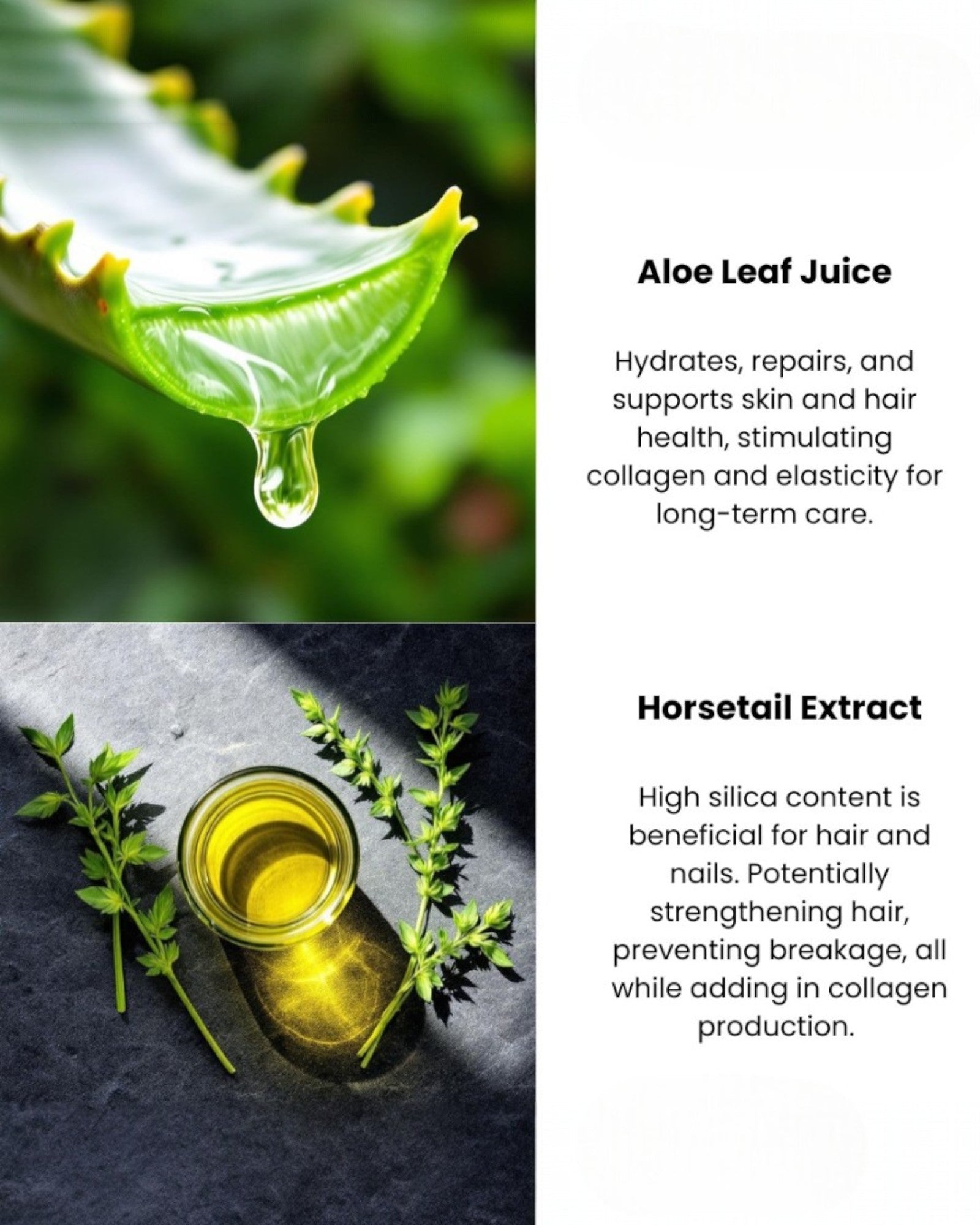 Honeysuckle Vetiver Hair Face Body Wash